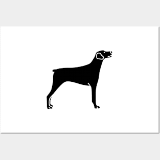 Doberman Posters and Art